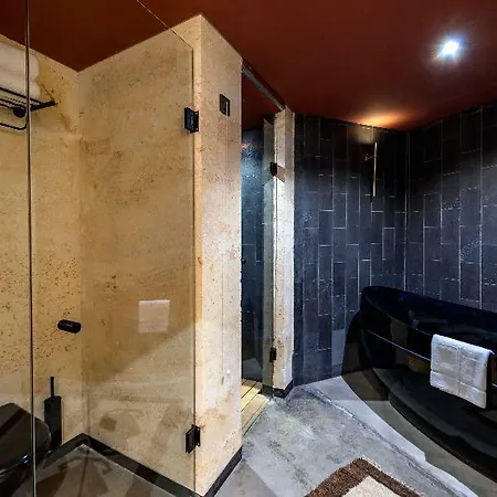 Otel Carus 4*